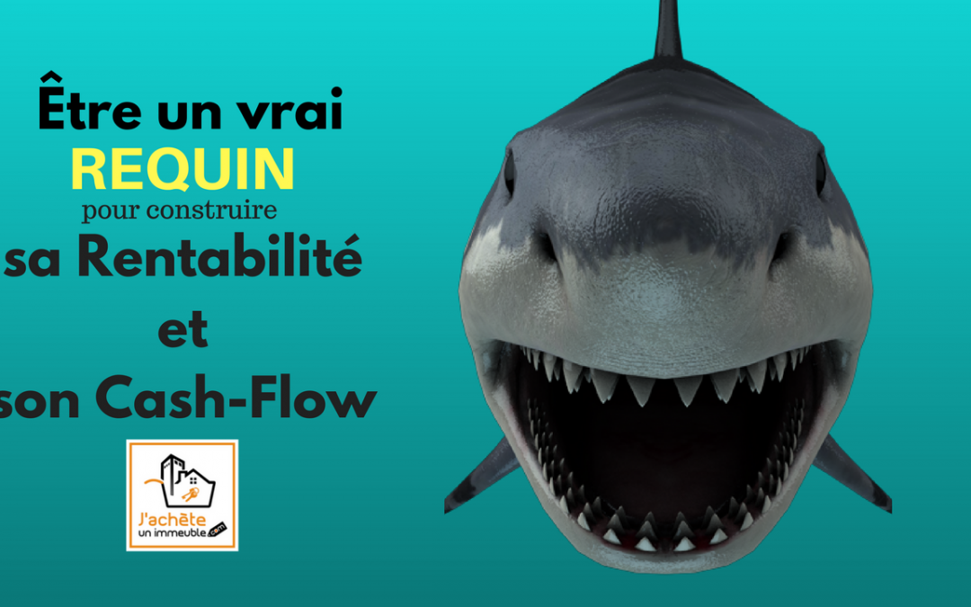 Être un vrai REQUIN en négociation pour construire ta rentabilité et ton cash-flow ?